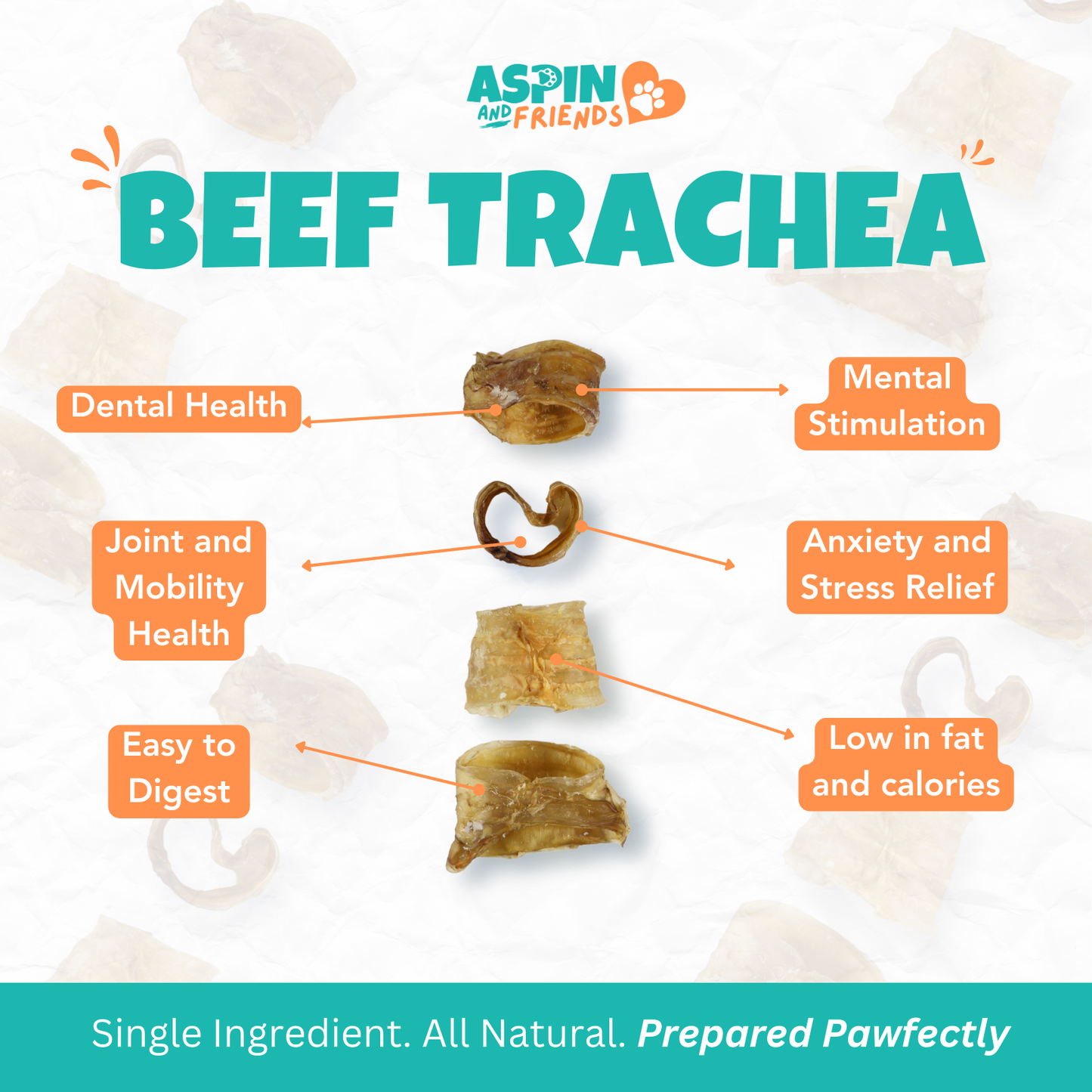 Beef Trachea